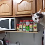 Making Some Room In The Kitchen
