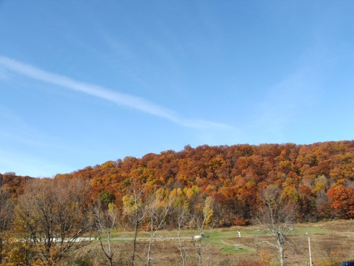 Tymor Park, Lagrangeville, NY