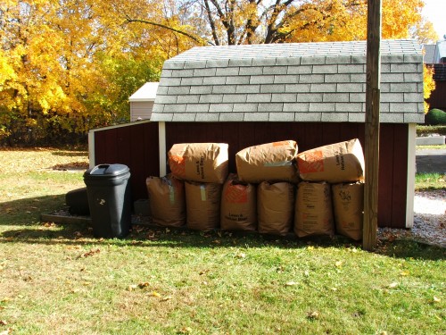 All the leaves we picked up from the backyard 2008, Poughkeepsie, NY