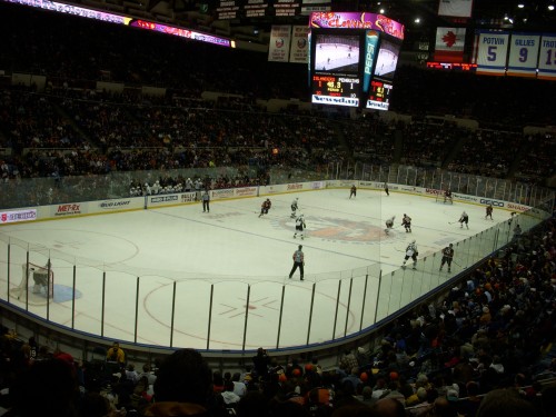 Full rink shot during game