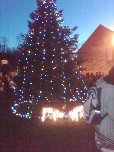 Xmas tree in Pleasant Valley