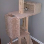 cat tower with carpeting