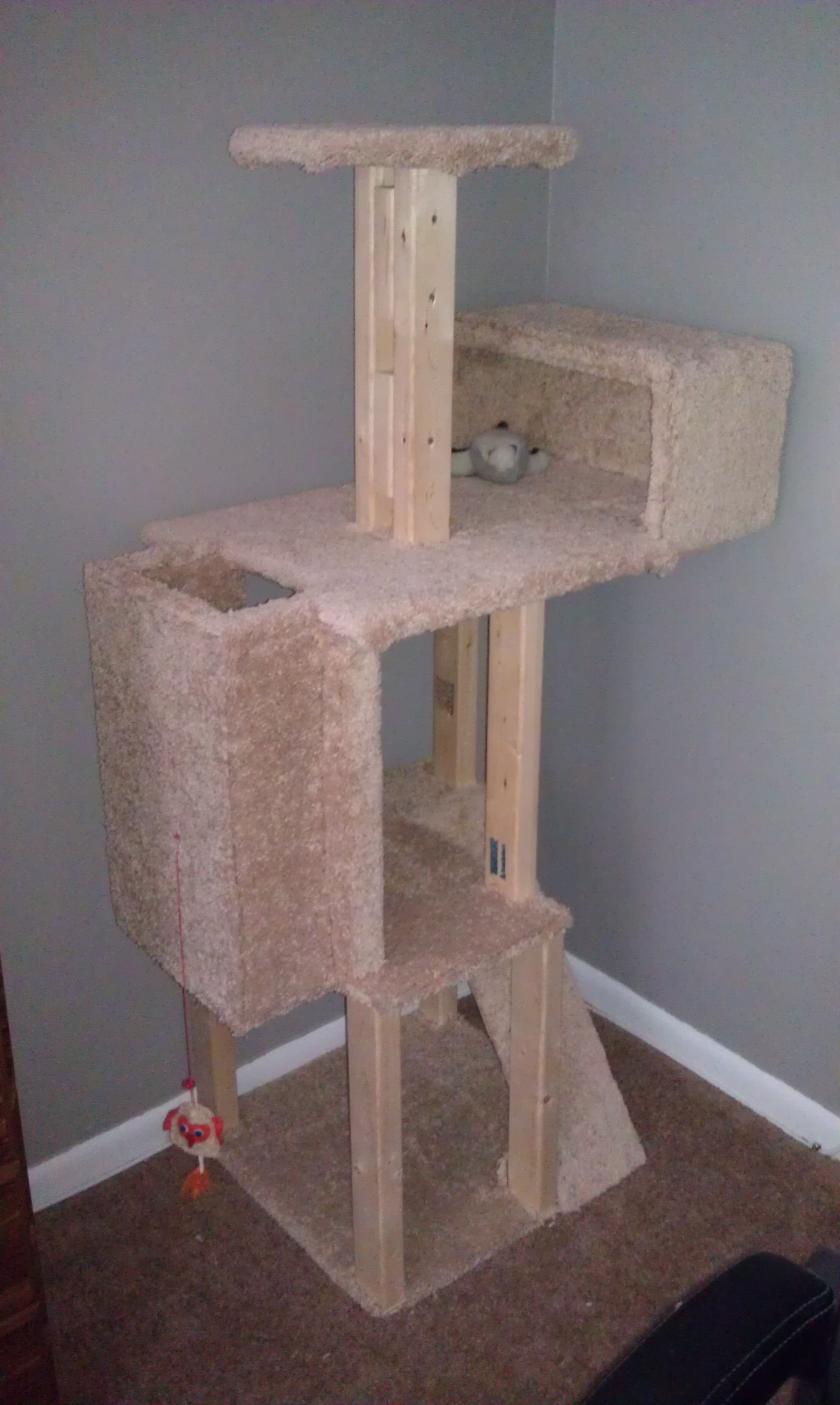 cat tower with carpeting
