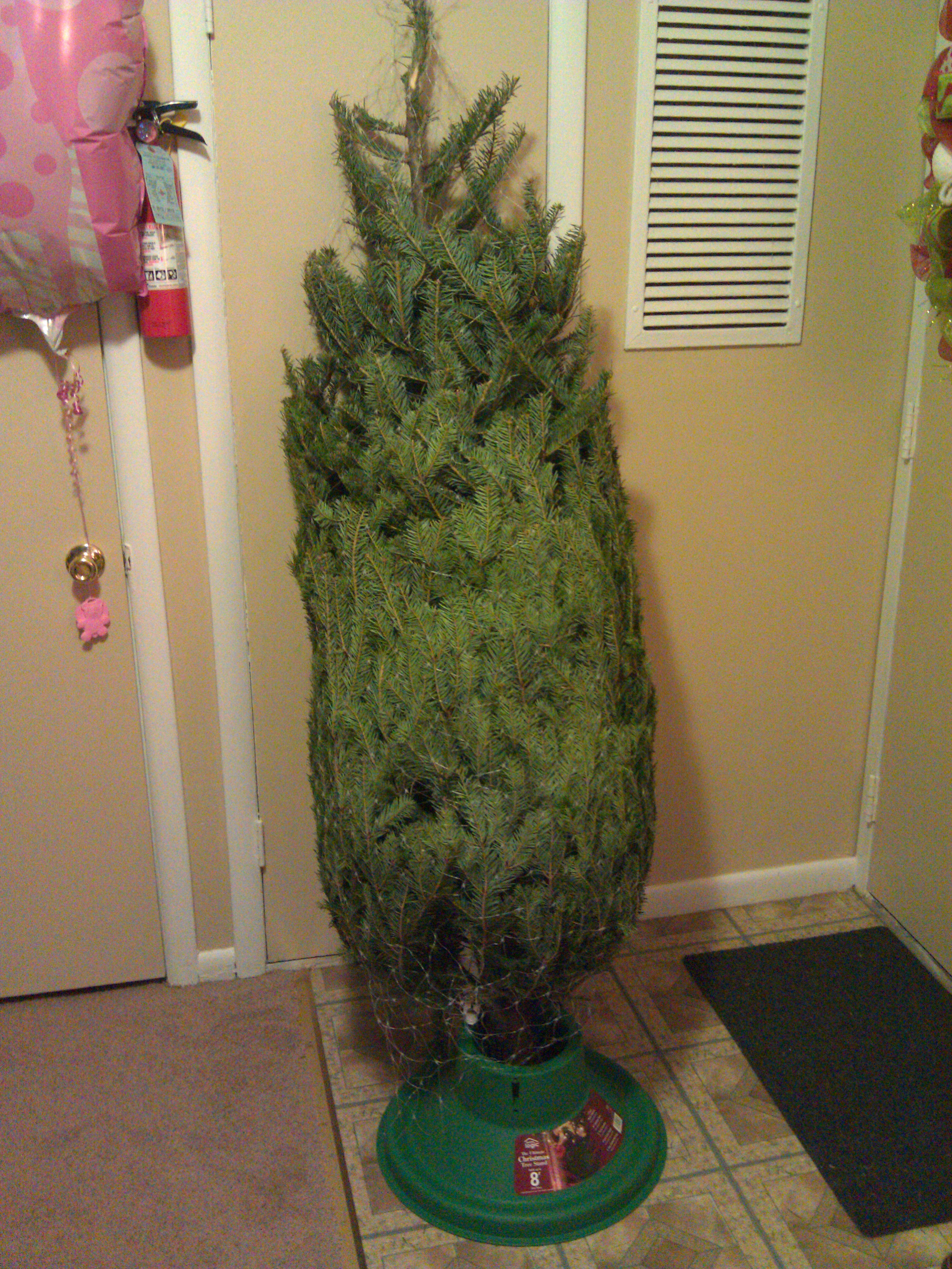 Christmas tree