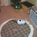 Christmas tree skirt