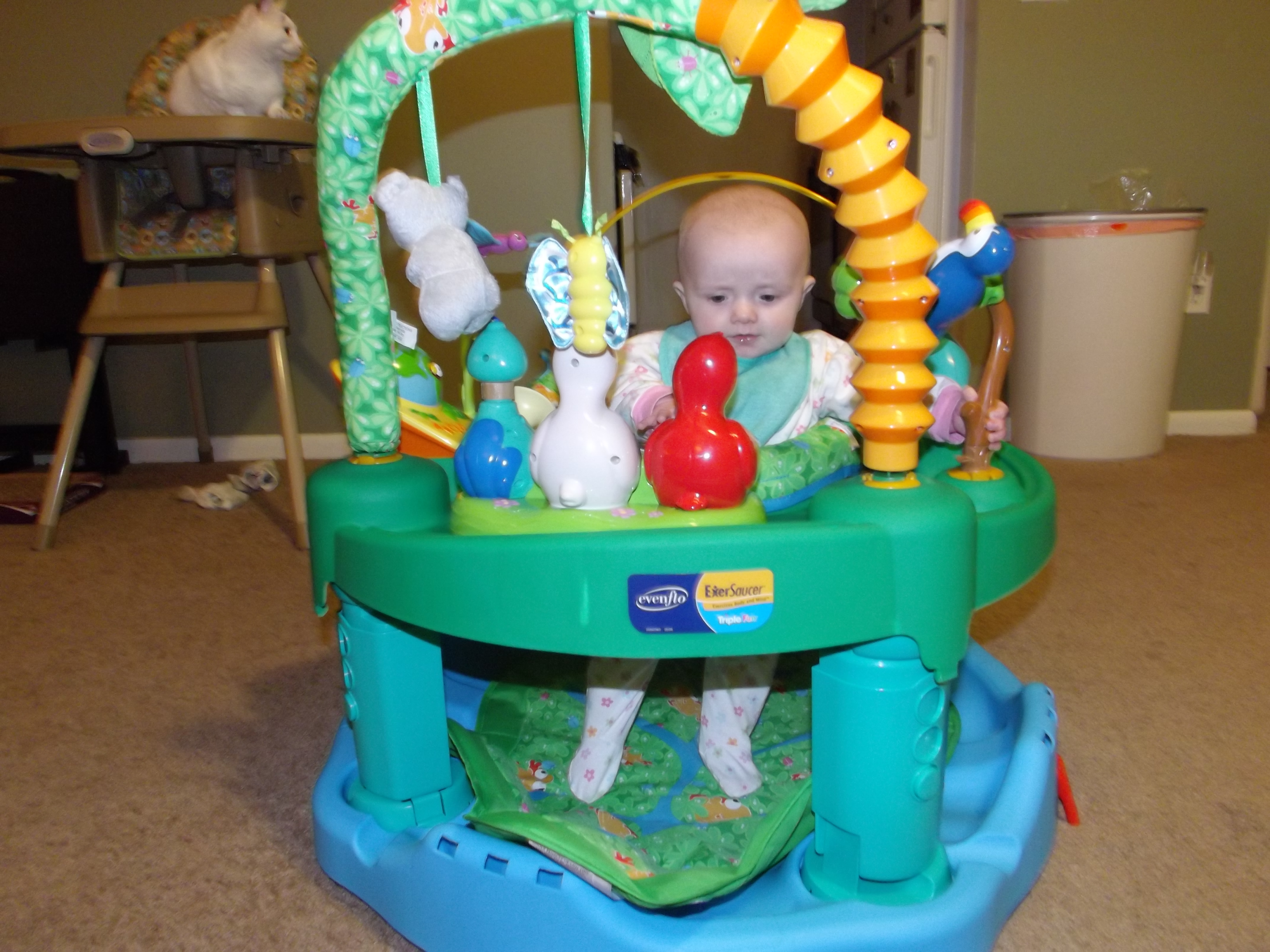 Arianna in exersaucer