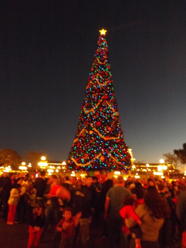 Magic Kingdom Christmas Tree