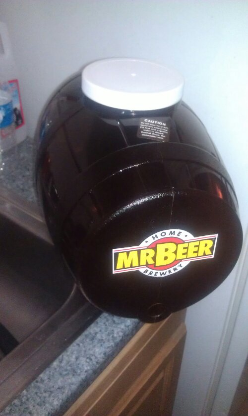 Mr. Beer kit