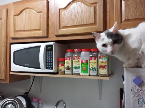 kitchen shelf