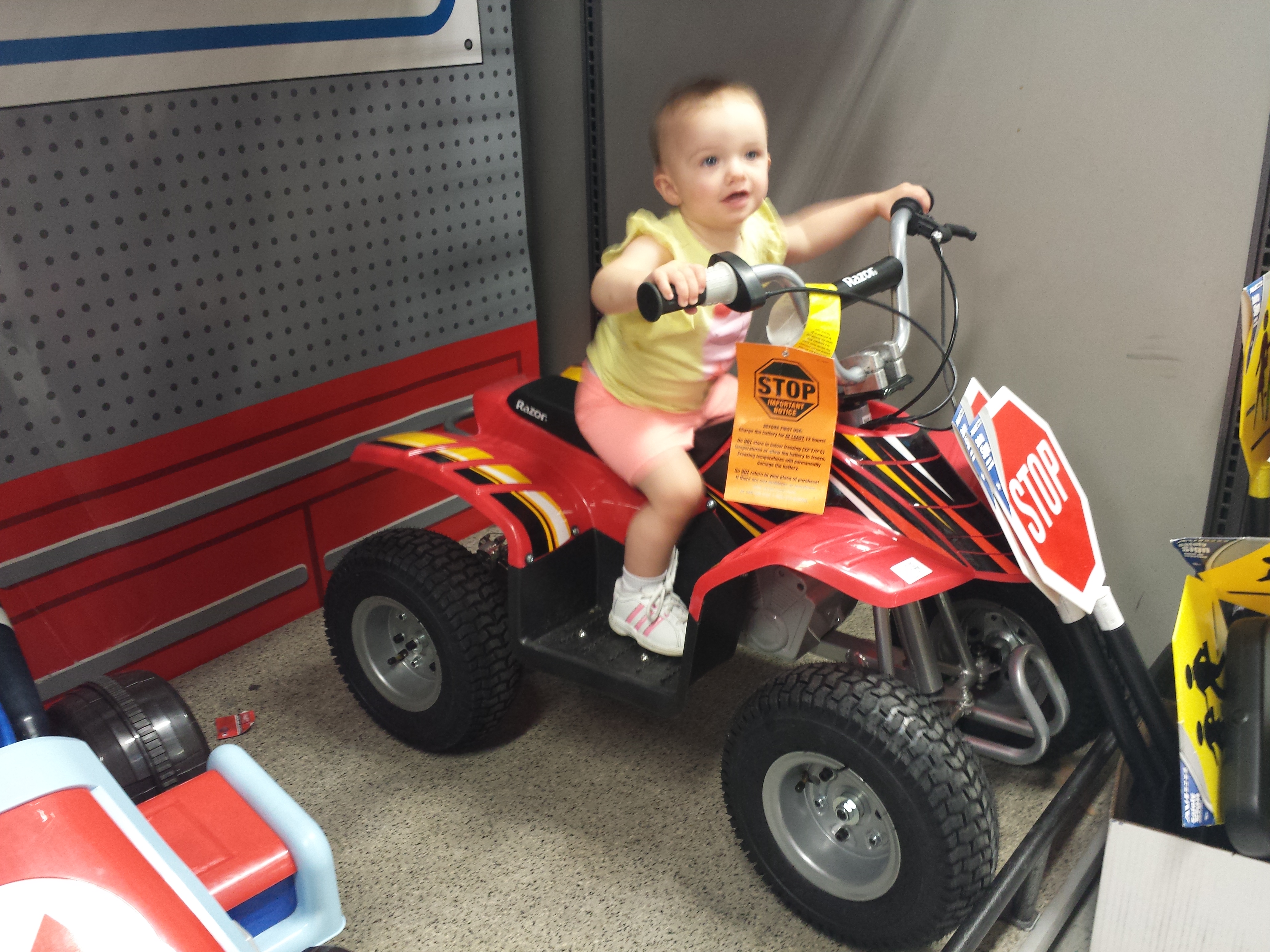 Arianna on atv