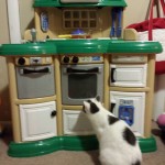 Arianna's new toy kitchen