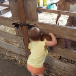 Dutchess County Fair 2014