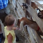 Dutchess County Fair 2014