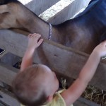 Dutchess County Fair 2014