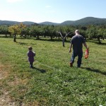 Apple picking 2014