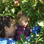 Apple picking 2014