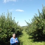 Apple picking 2014