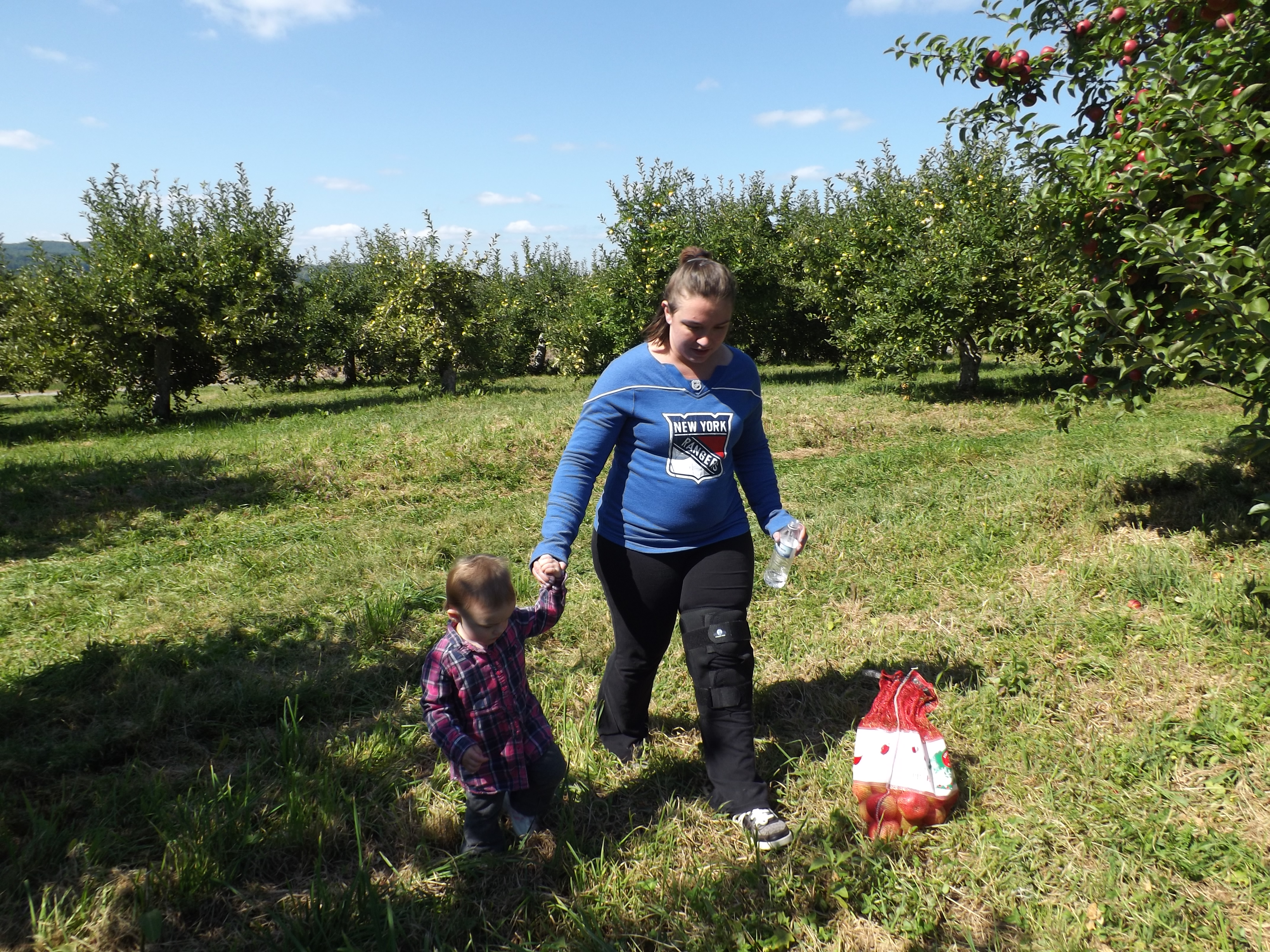 Apple picking 2014