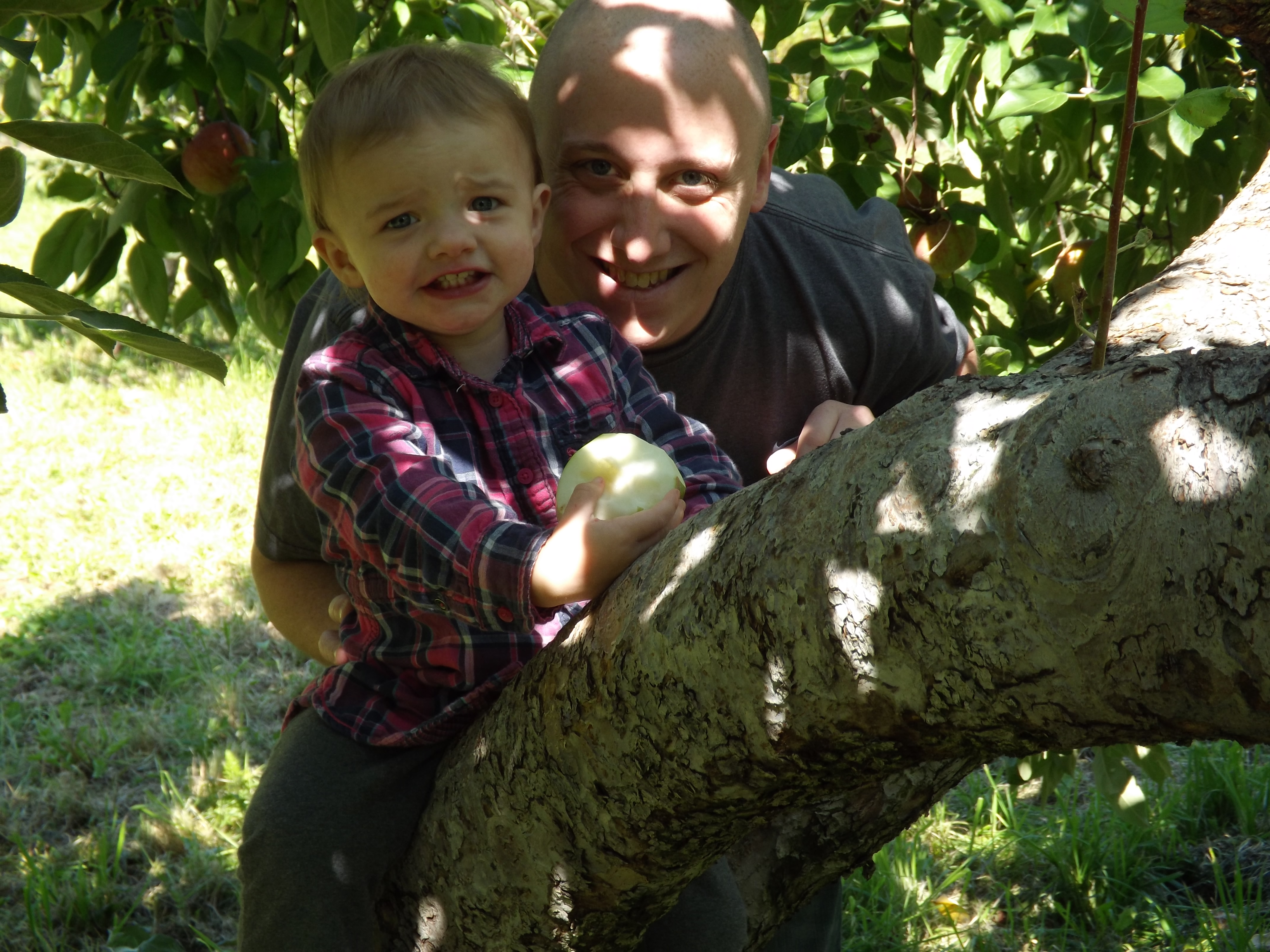 Apple picking 2014