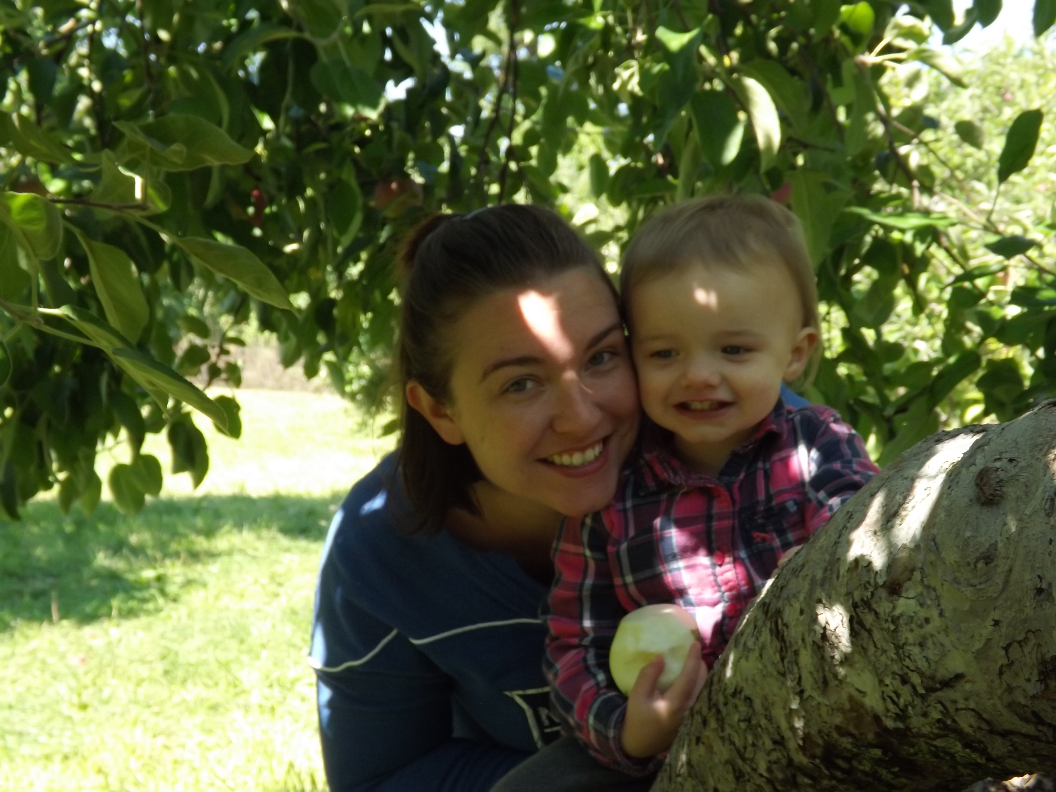 Apple picking 2014