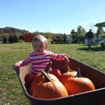 pumpkin picking 2014