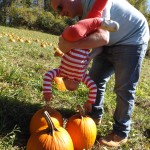 pumpkin picking 2014