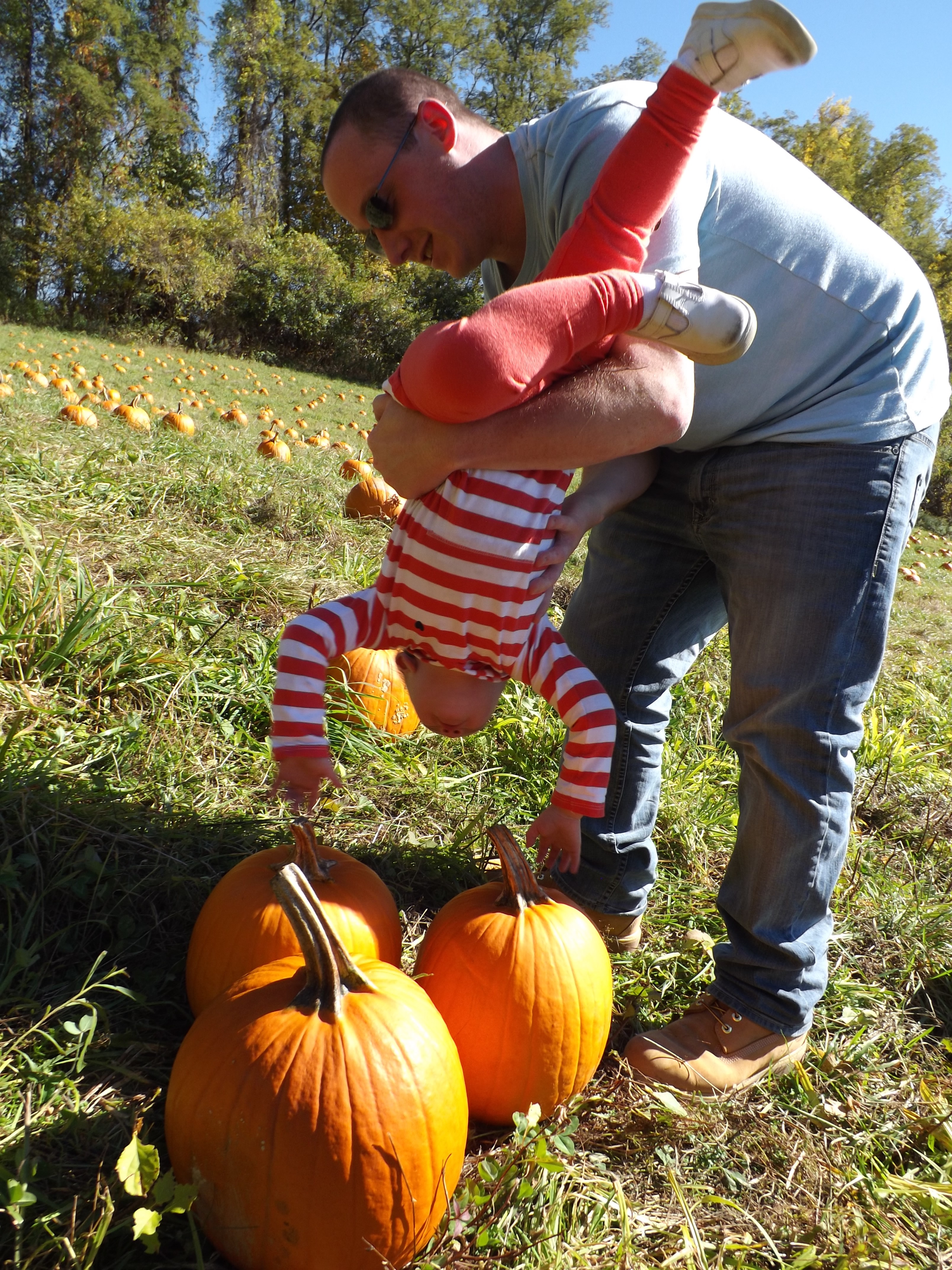 pumpkin picking 2014