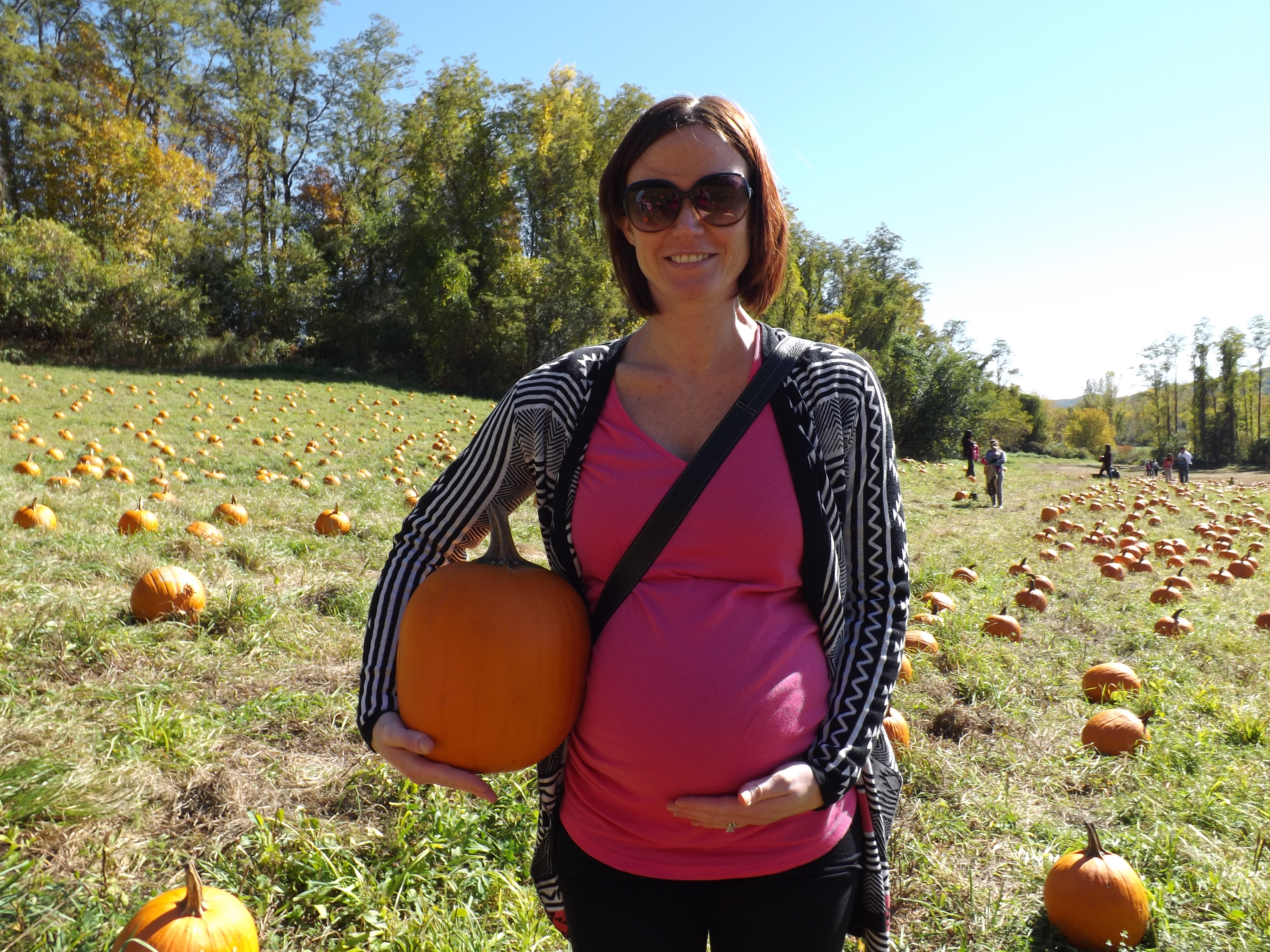 pumpkin picking 2014