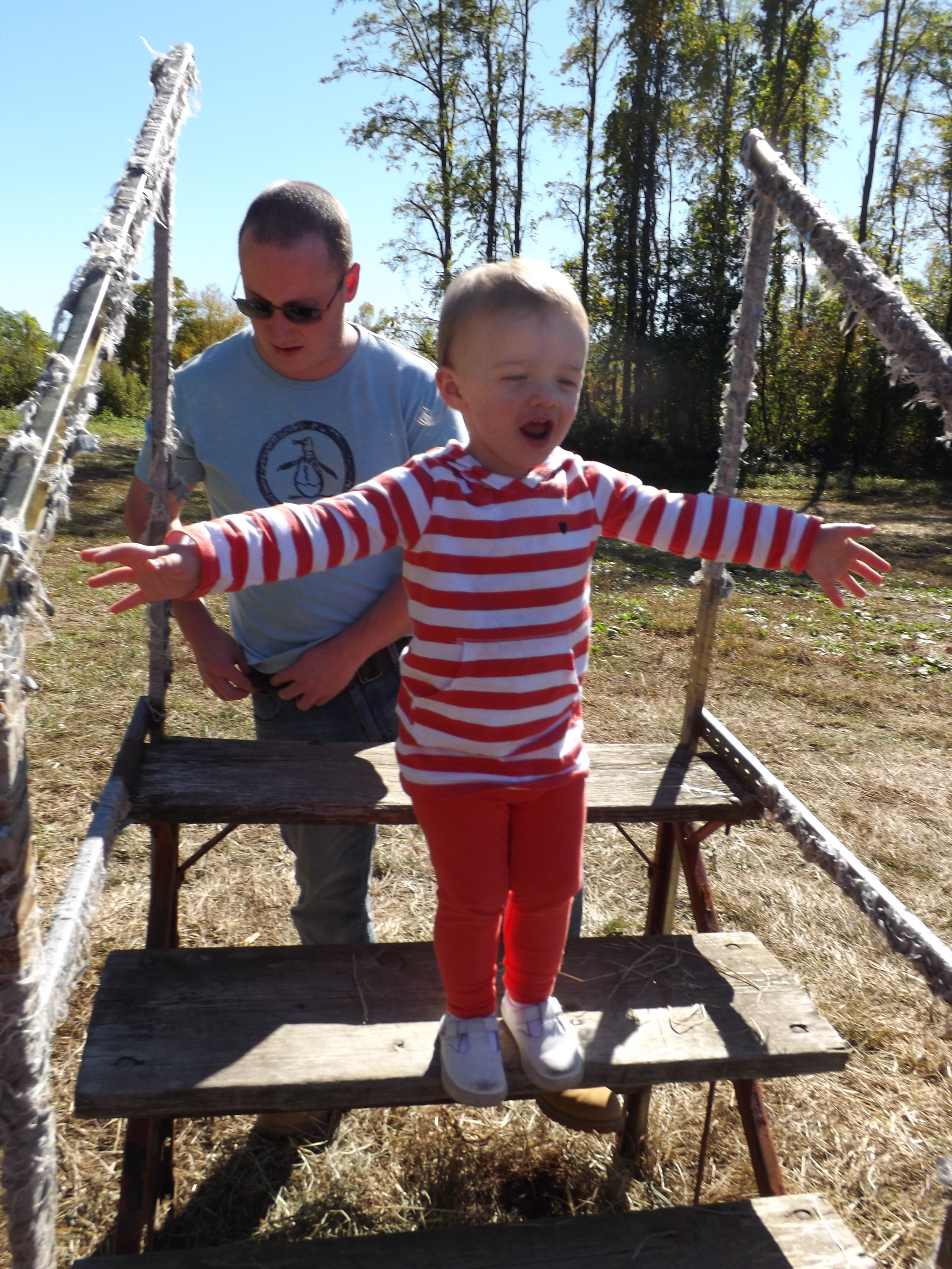 pumpkin picking 2014