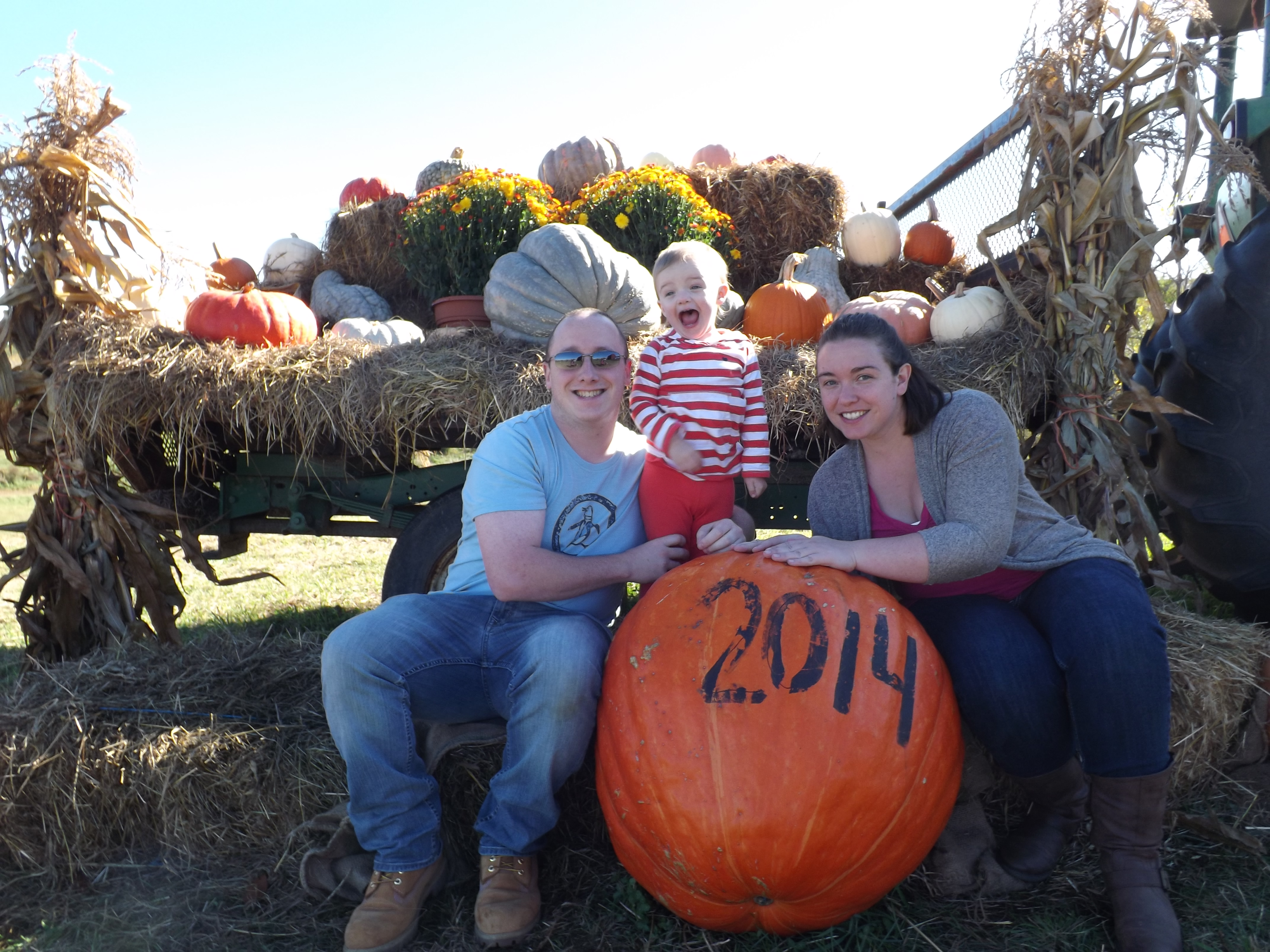 pumpkin picking 2014