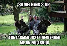 turkeyfunny