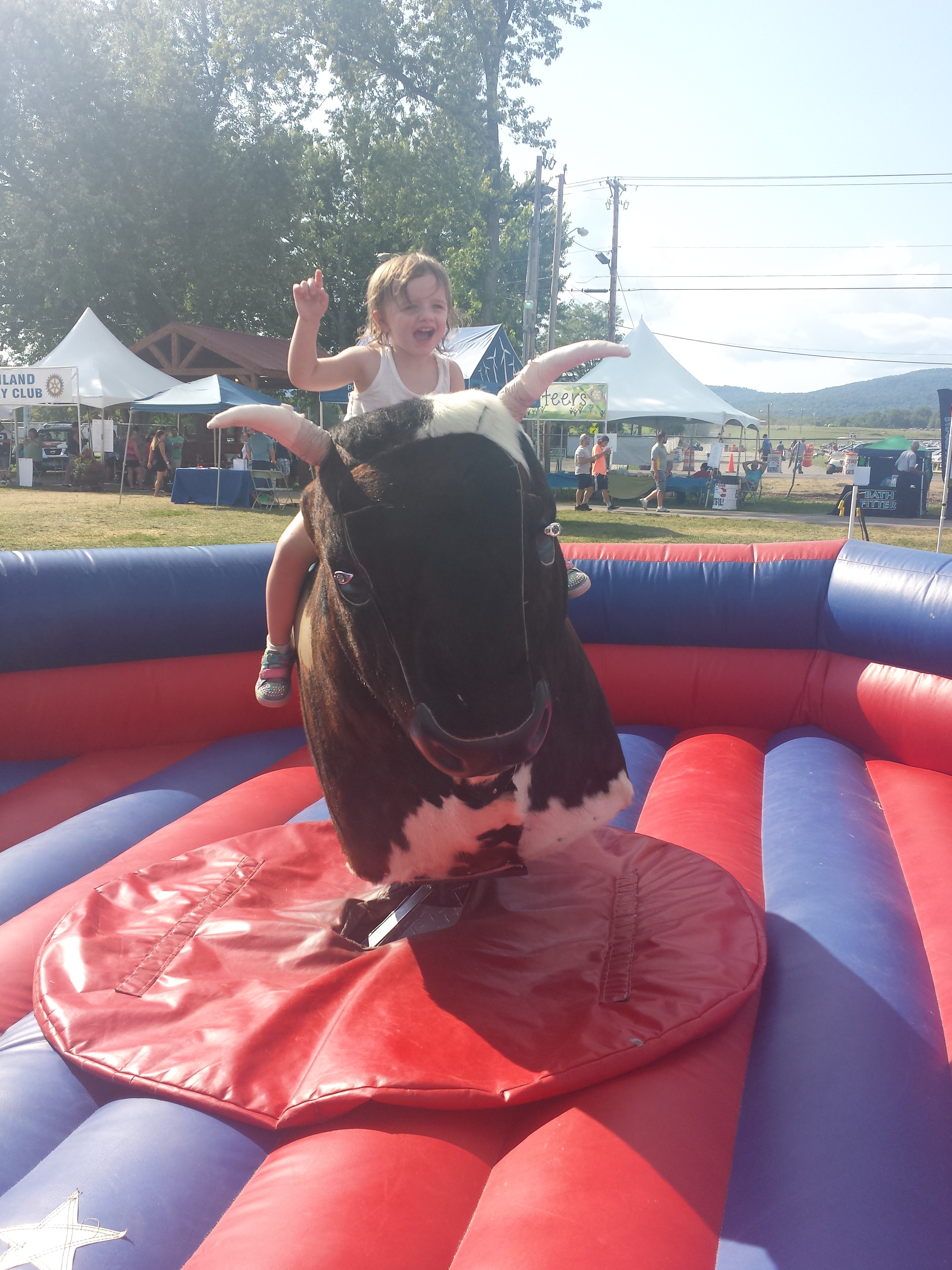 Hudson Valley Ribfest 2015