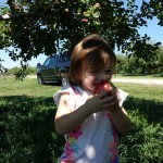 Apple Picking at Fishkill Farms 2015