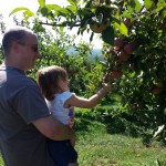 Apple Picking at Fishkill Farms 2015