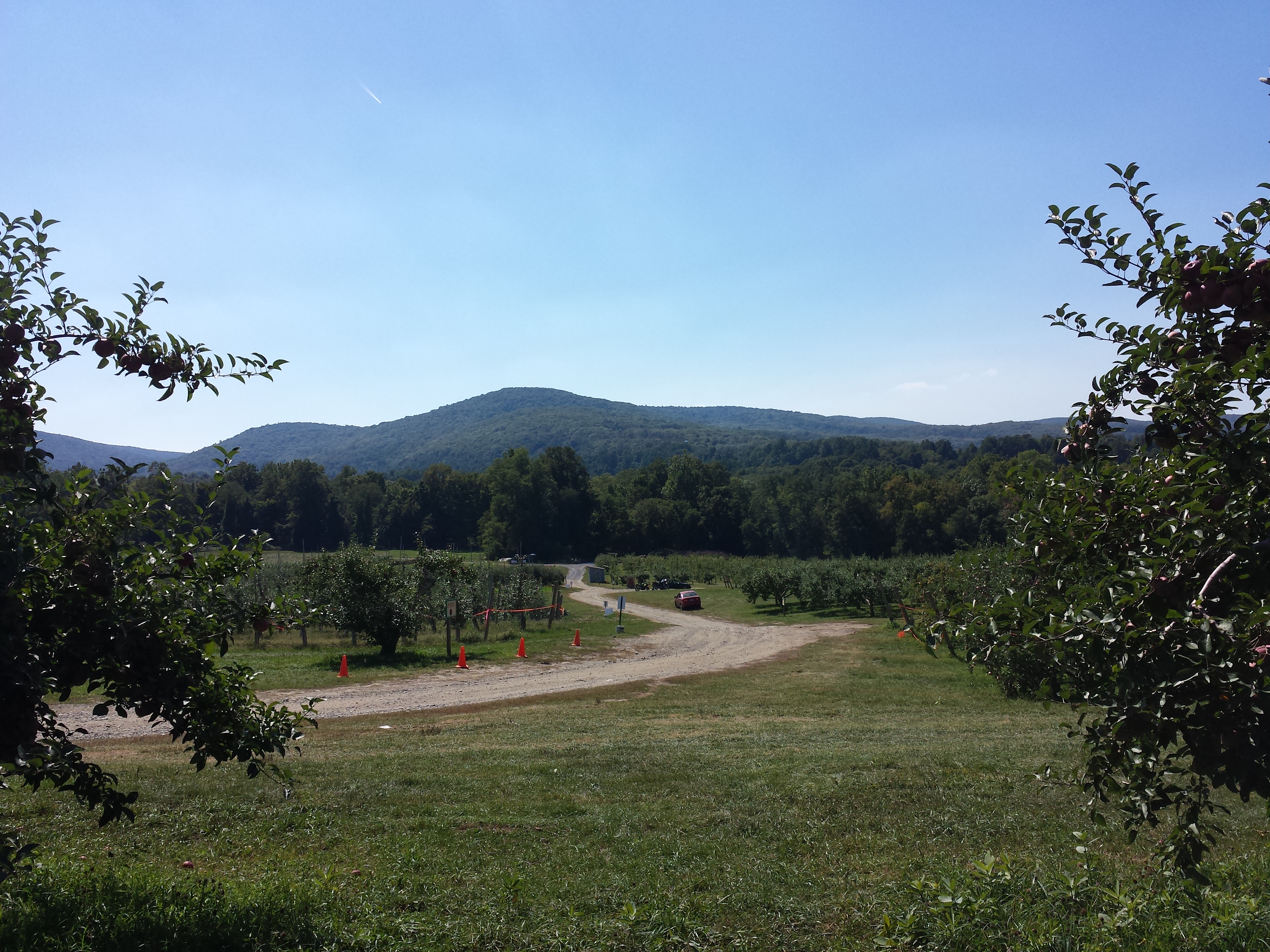 Apple Picking at Fishkill Farms 2015