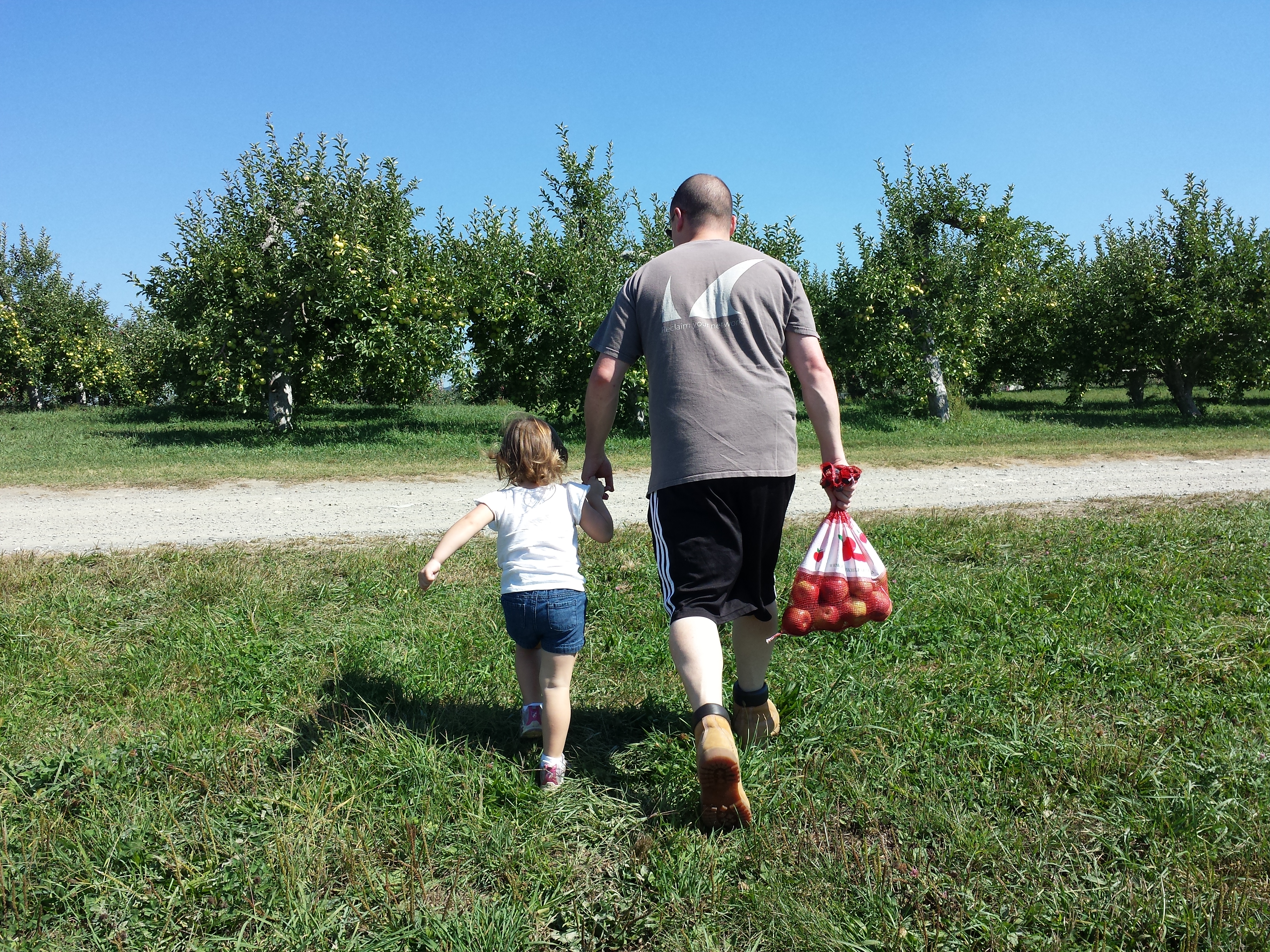 Apple Picking at Fishkill Farms 2015