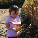 Pumpkin picking 2015