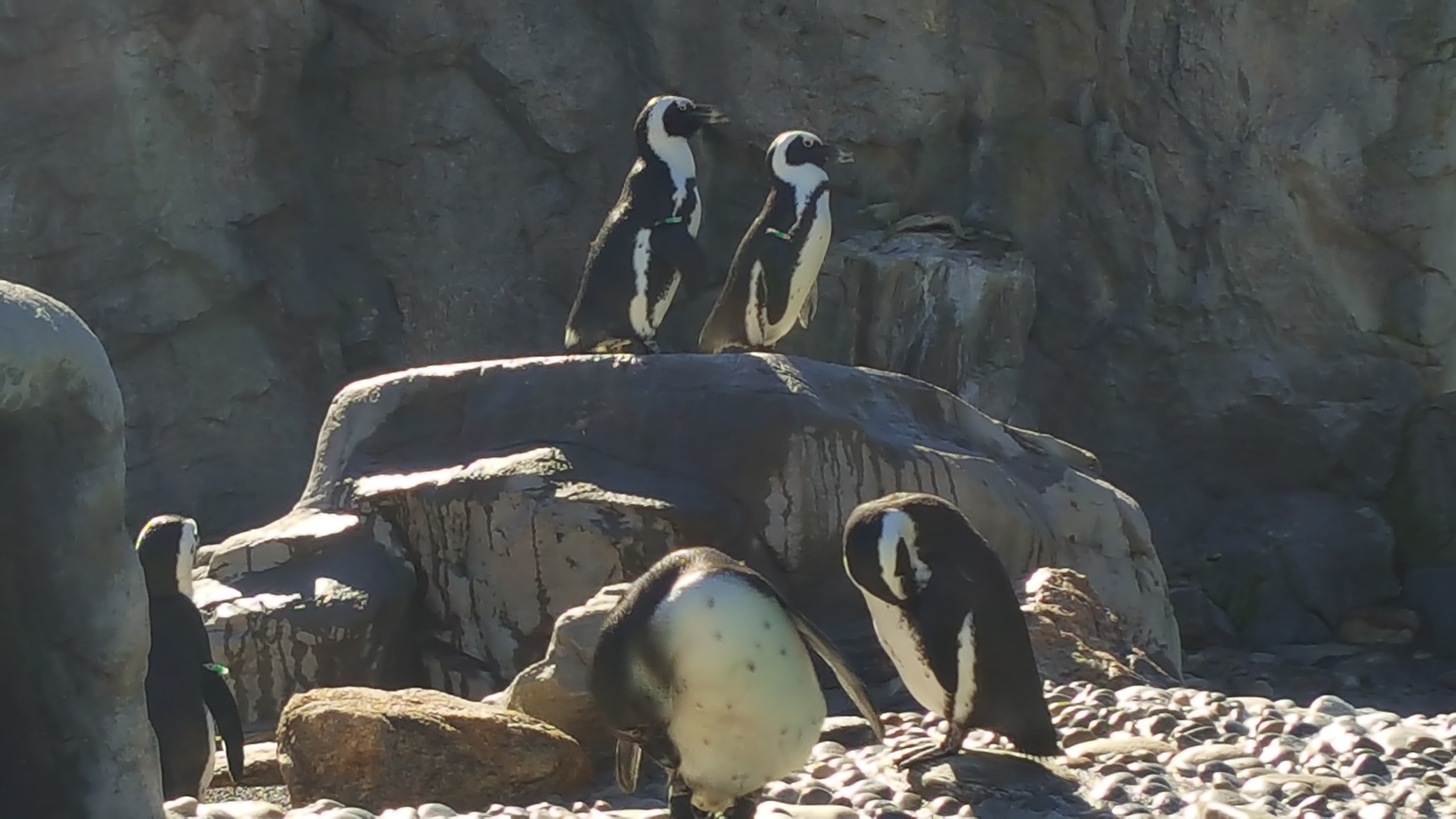 Mystic Aquarium