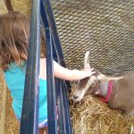 Dutchess County Fair