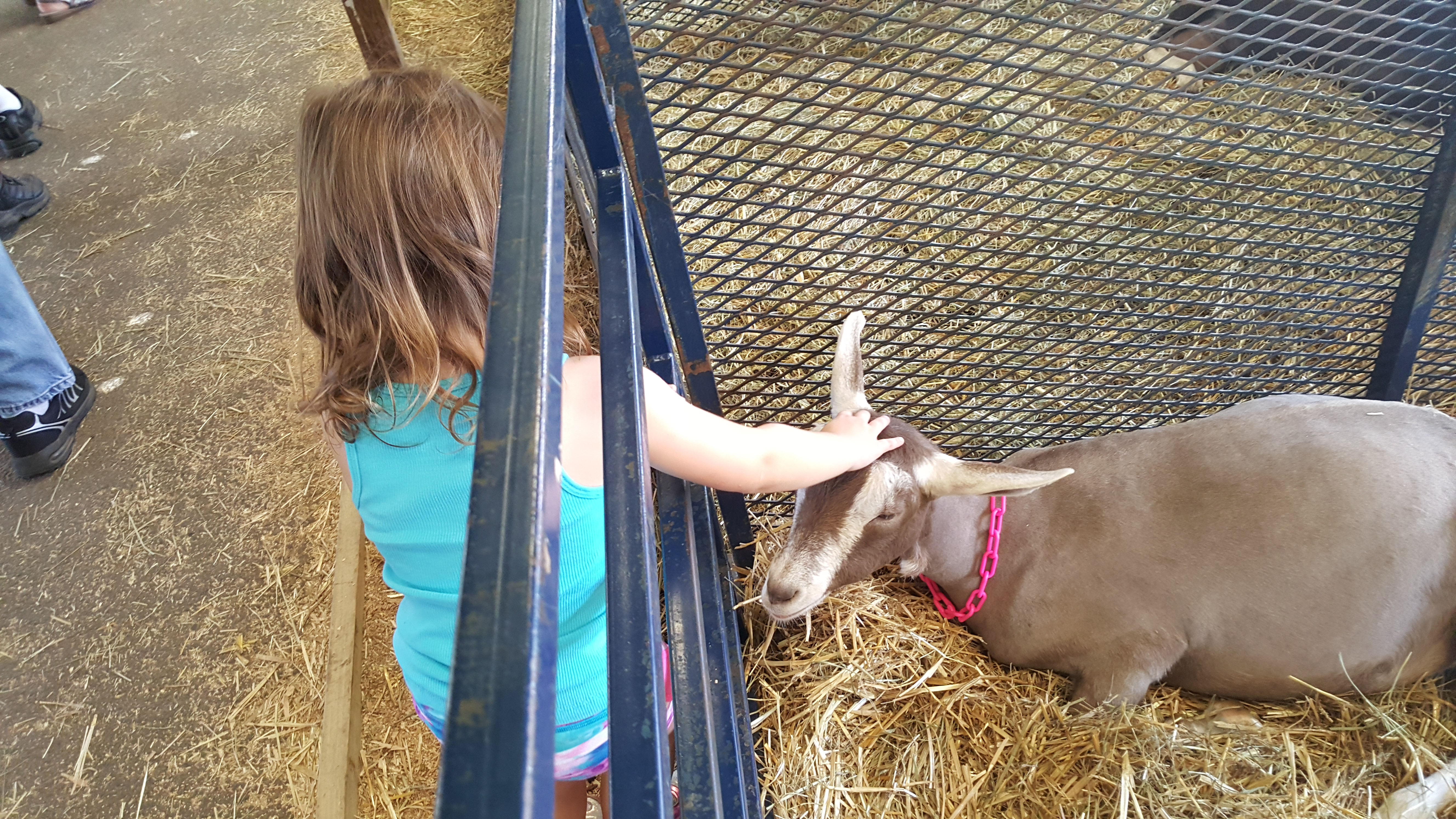 Dutchess County Fair