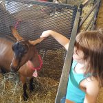 Dutchess County Fair