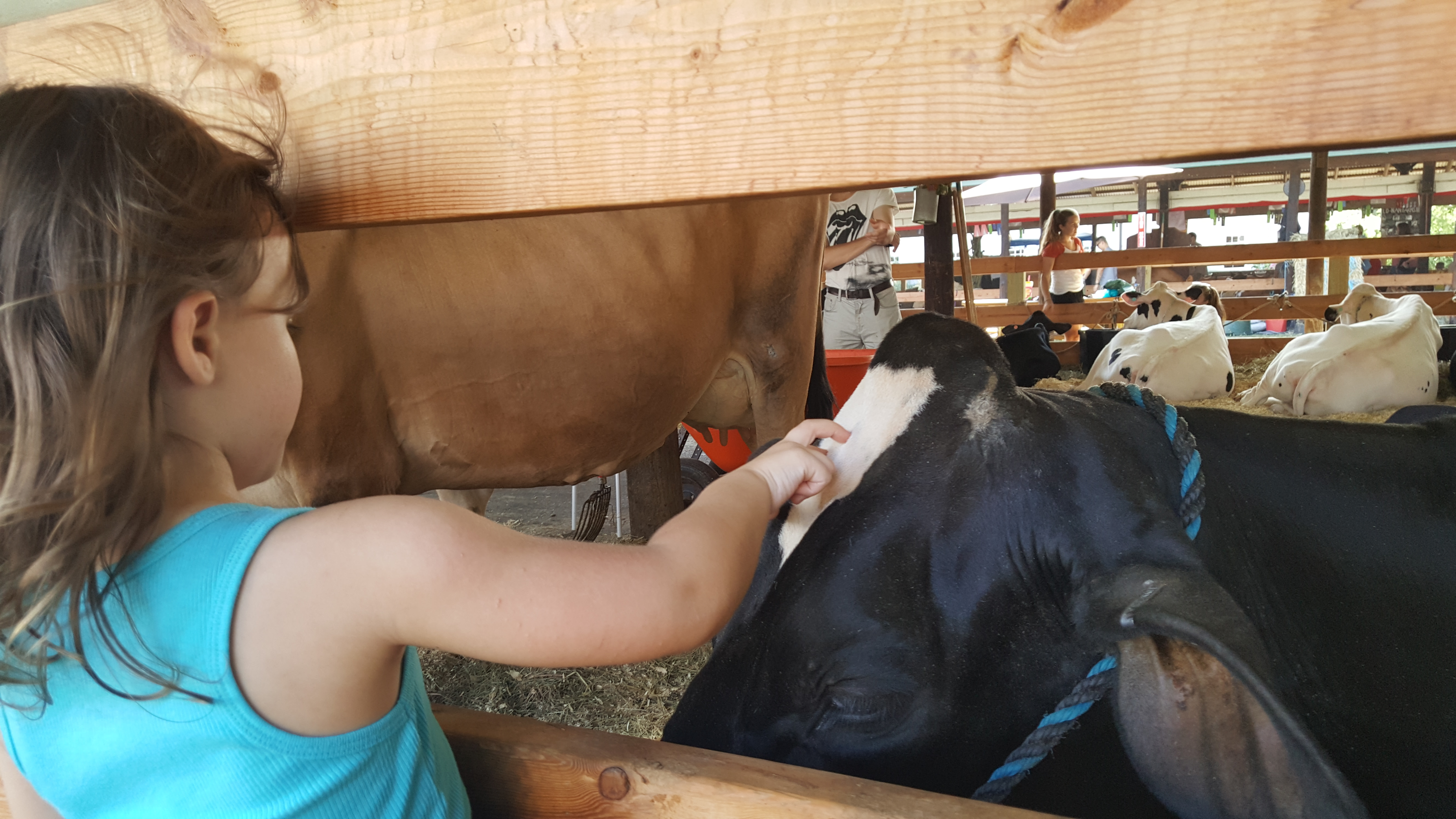 Dutchess County Fair