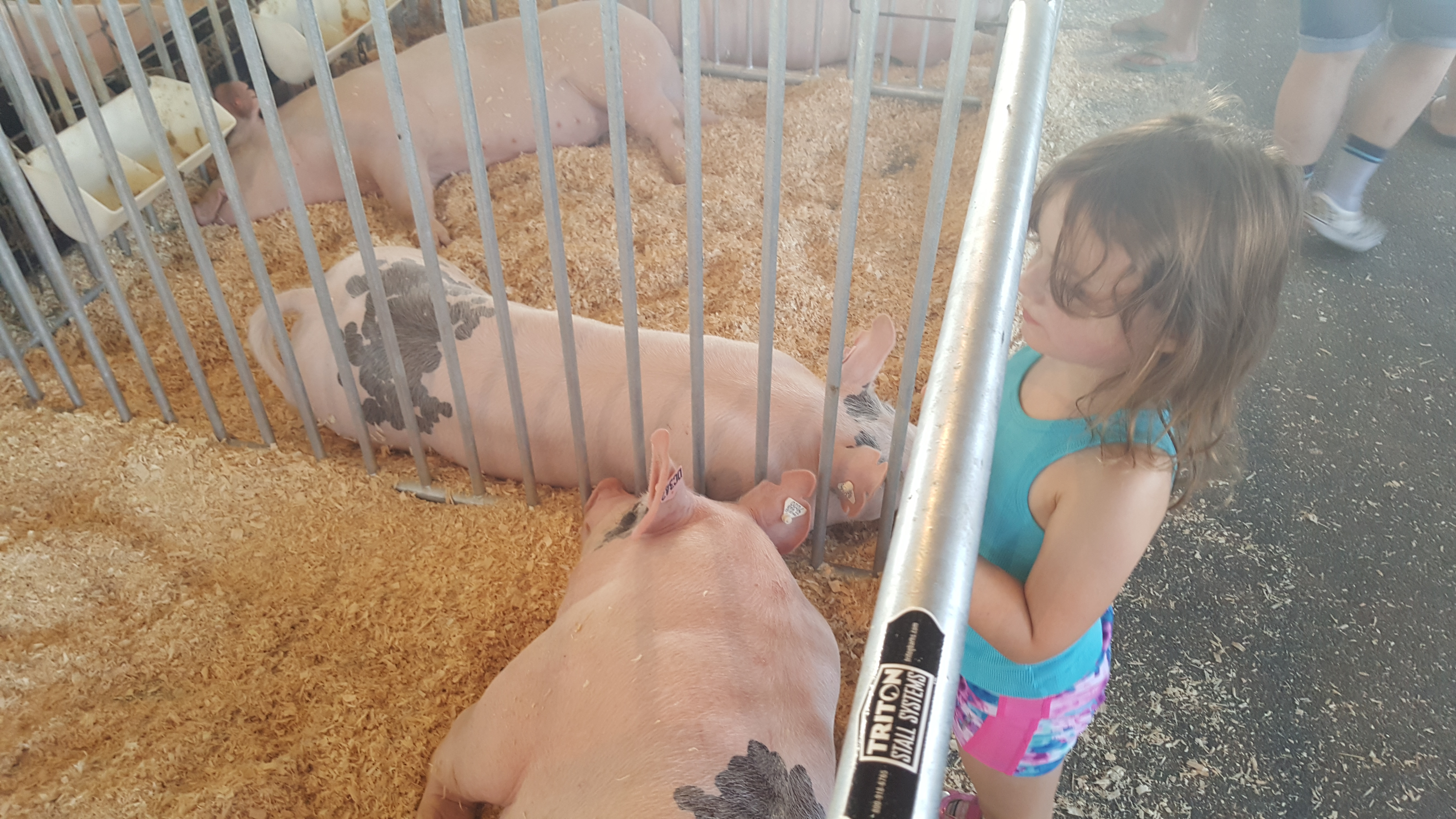 Dutchess County Fair