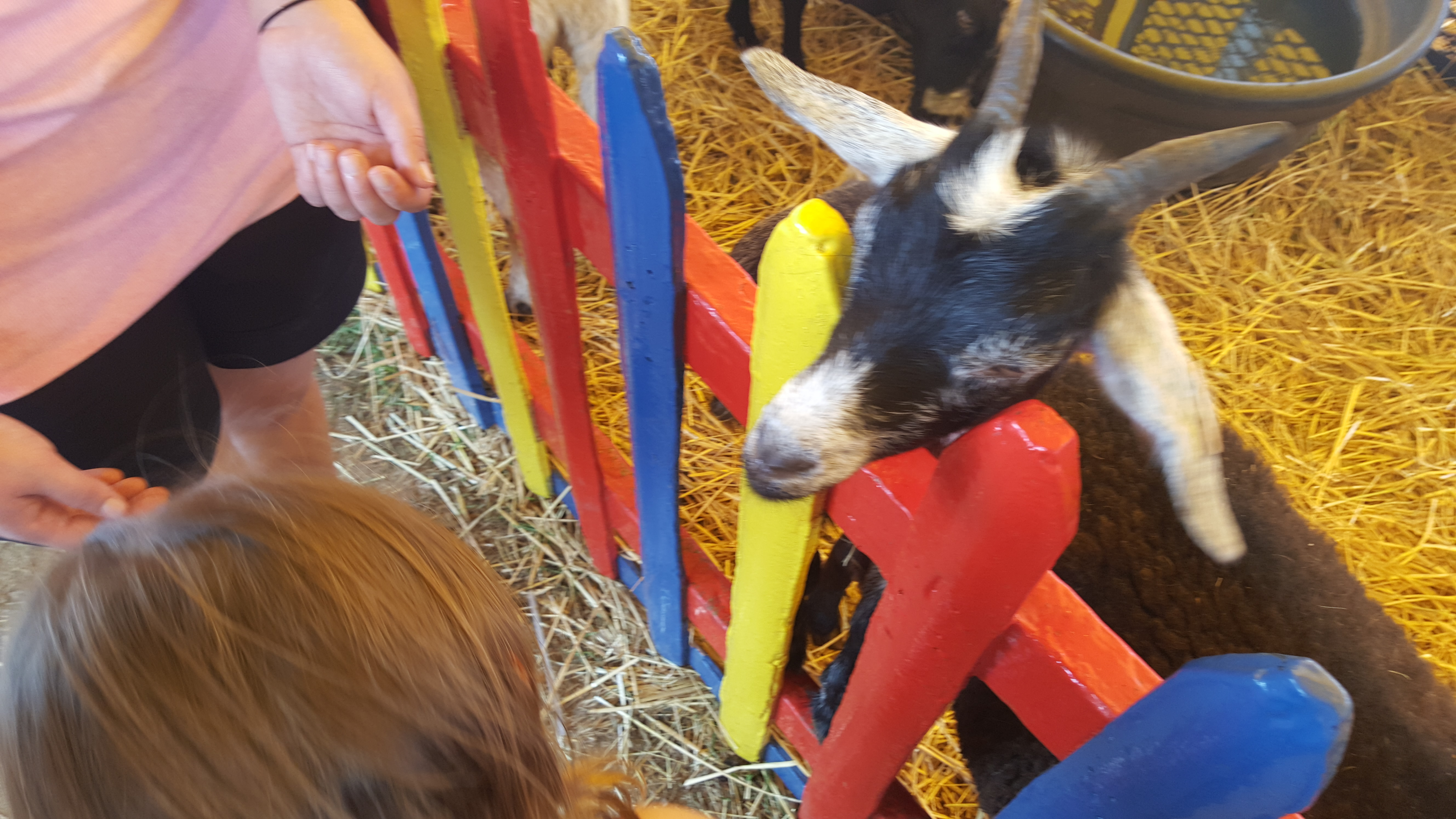 Dutchess County Fair