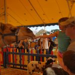 Dutchess County Fair