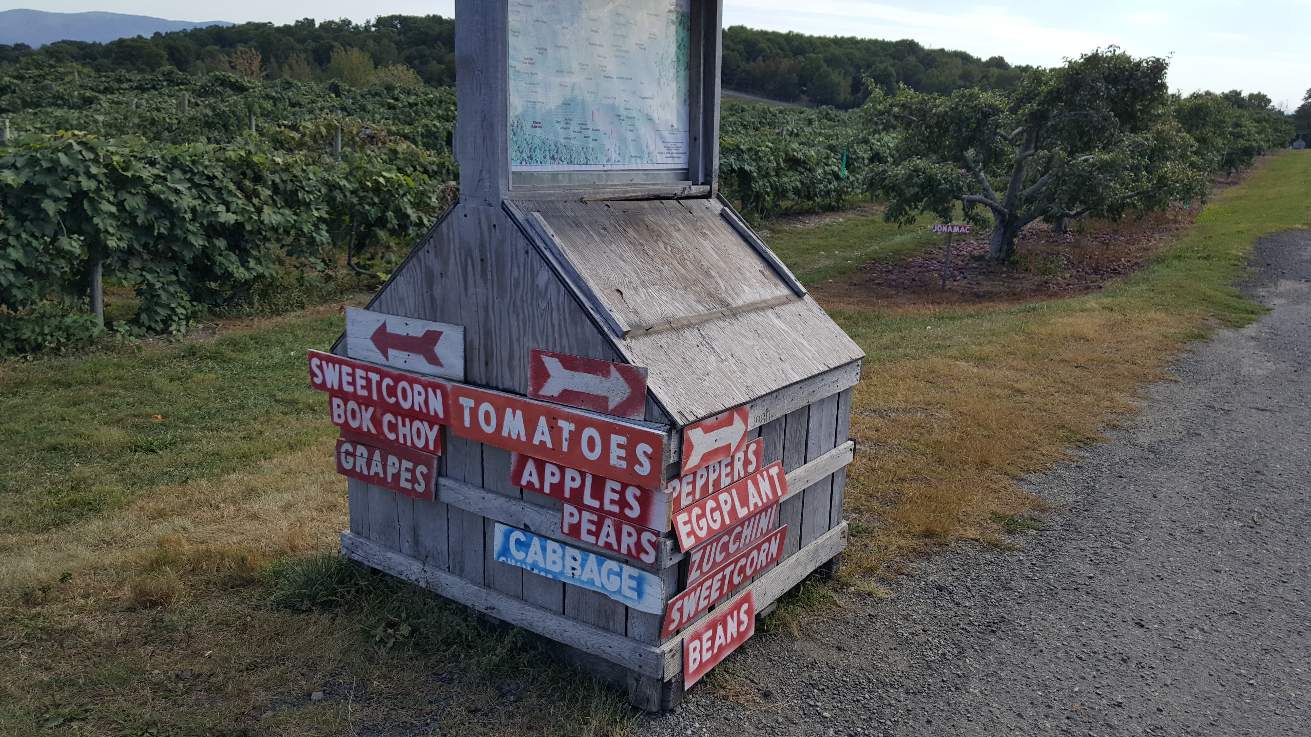 Apple Picking 2016