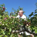 Apple Picking 2016