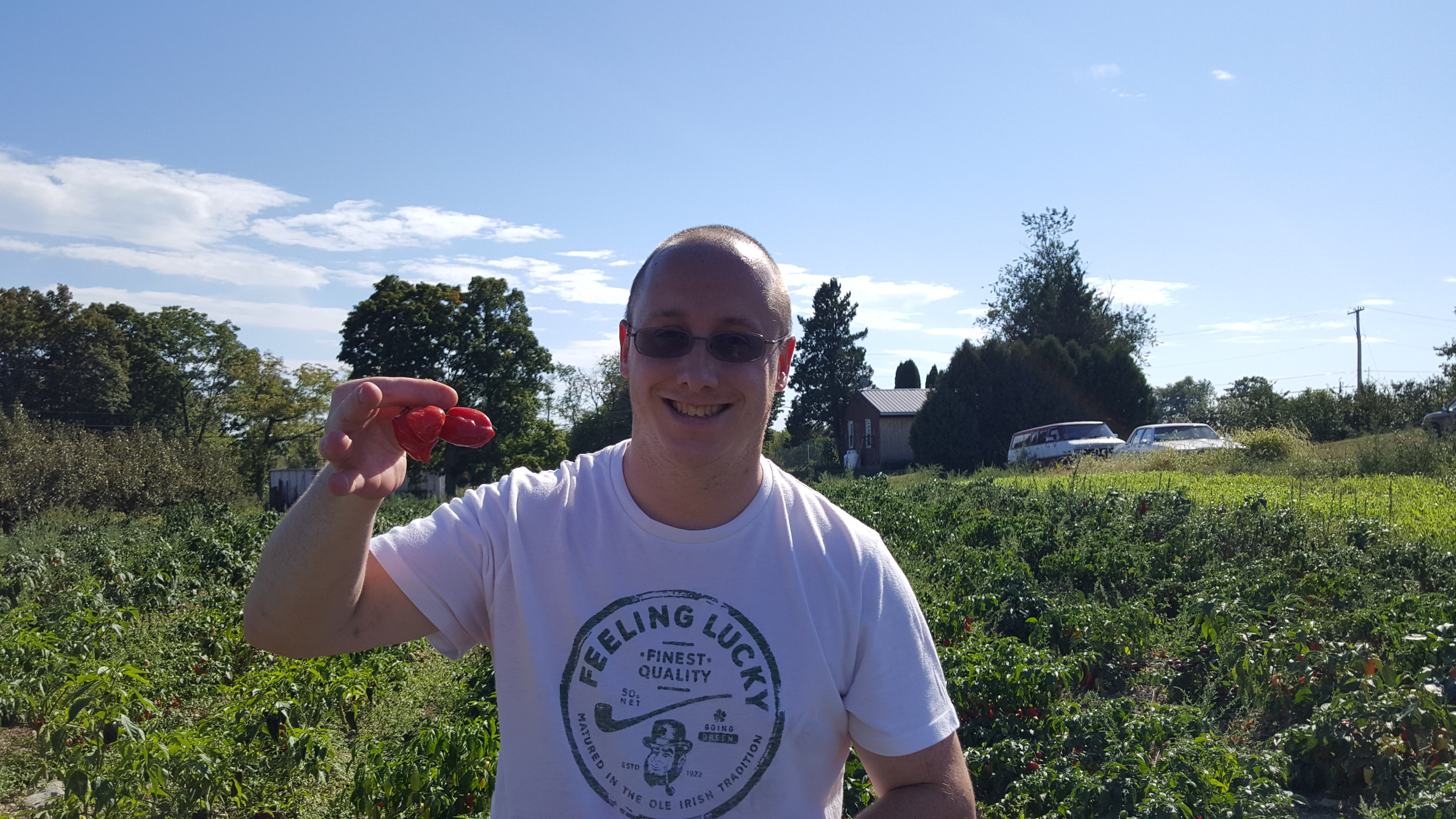 Apple Picking 2016