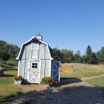 Apple Picking 2016