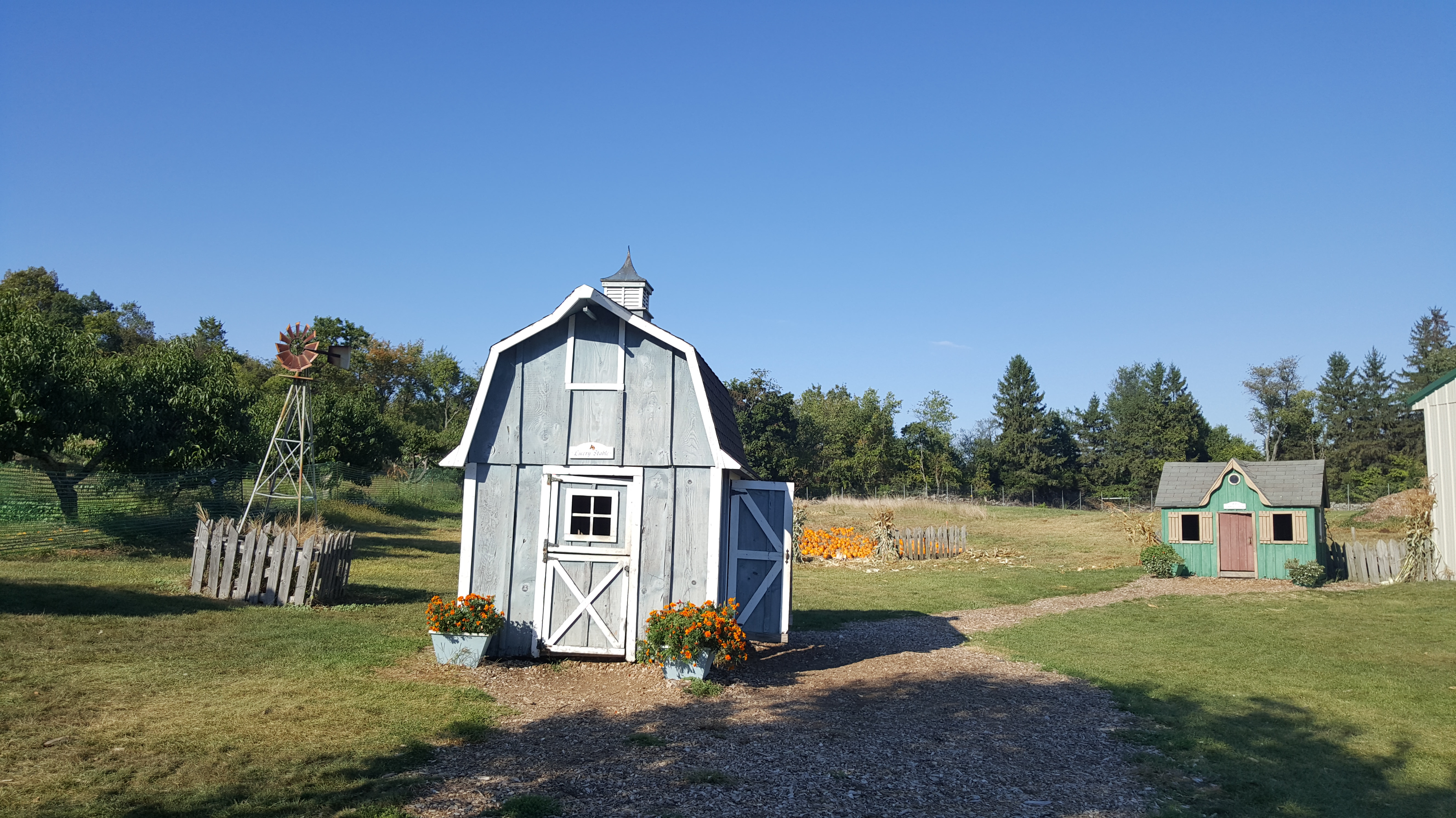 Apple Picking 2016